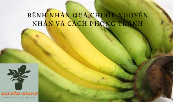 Read more about the article Bệnh nhăn quả chuối: Nguyên nhân và cách phòng tránh